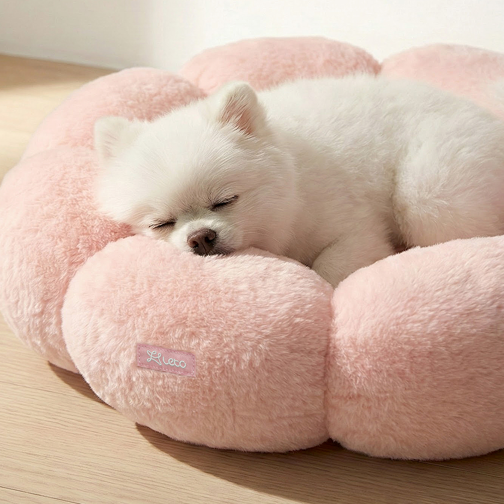 레토 강아지방석 고양이방석 플라워 도넛 쿠션