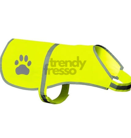 [트렌디프레소협력사]데이슬롯 야간산책조끼 강아지안전조끼ML 애견안전 반려동물용품