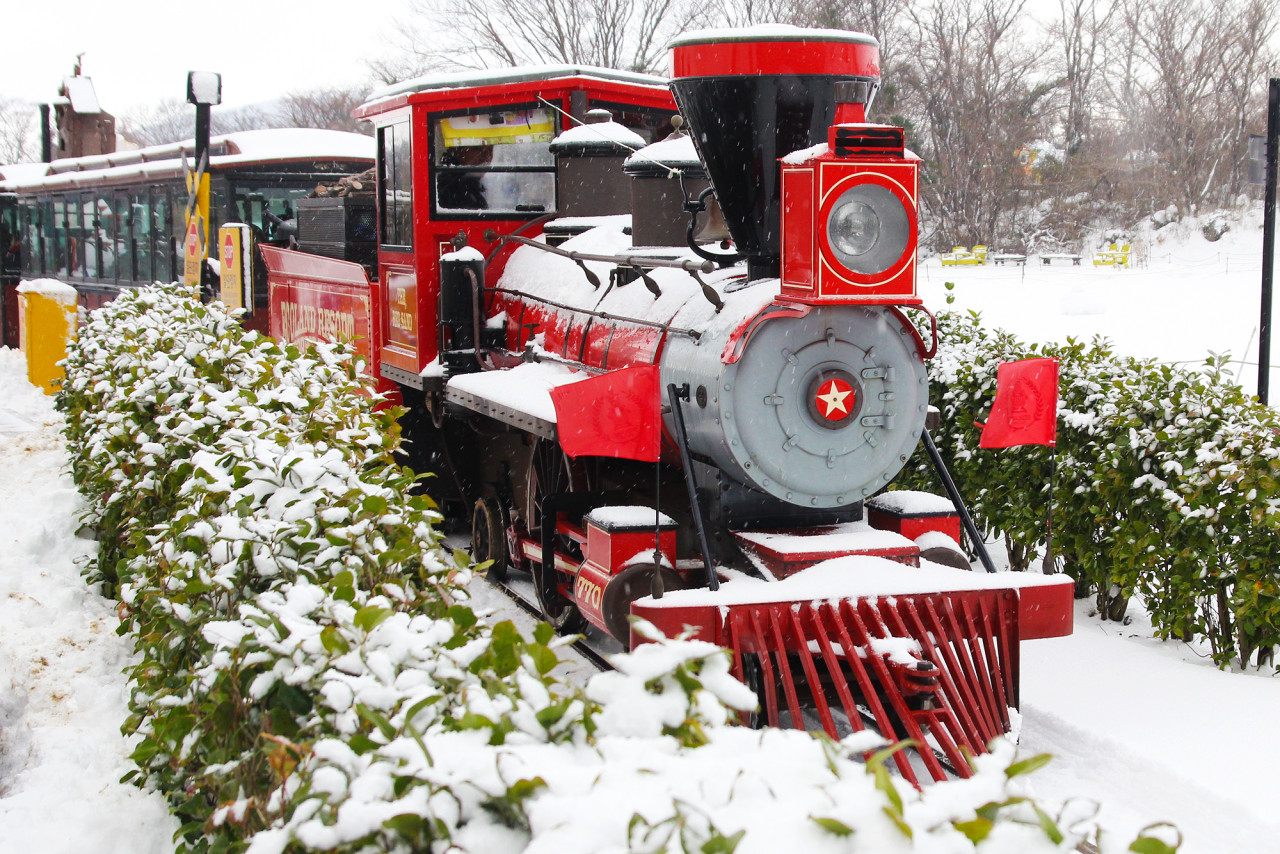 핫플트립 제주도버스투어 뚜벅이 패키지 일일여행 제주여행 액티비티 택시 투어패스 겨울 동백 상세 이미지 7