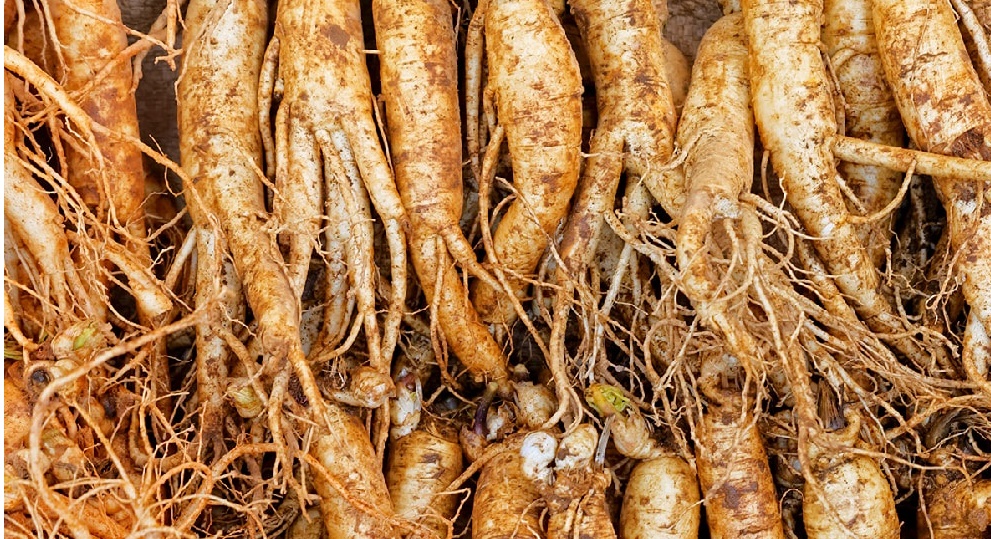 국내산 홍삼 분말 250g - 상세 이미지 5