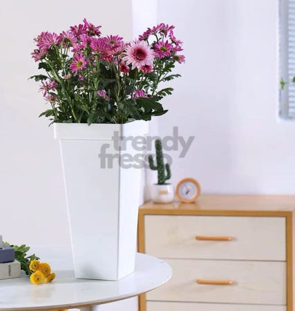 [트렌디프레소협력사]데이슬롯 플라스틱 꽂집 대 바구니 인테리어화병 분리수거통 꽃꽂이