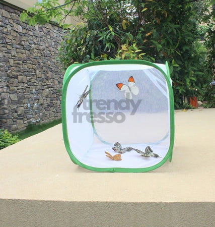 트렌디프레소협력사 데이슬롯 망사 채집통 곤충사육 케이지 소형 야외 파충류사육케이지