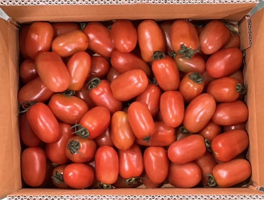 논산 산지직송 아삭한 방울토마토 로얄과 2kg 이미지 6
