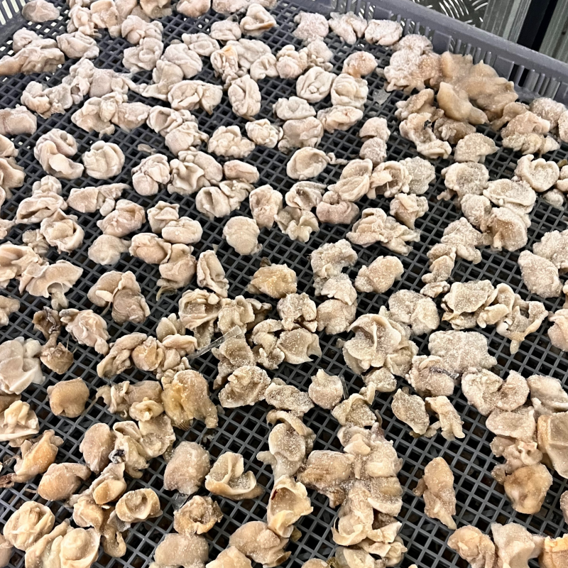 자연가득 반건조 순살 오징어입 500g (40-60알) 버터 2개 포함 - 상세 이미지 3