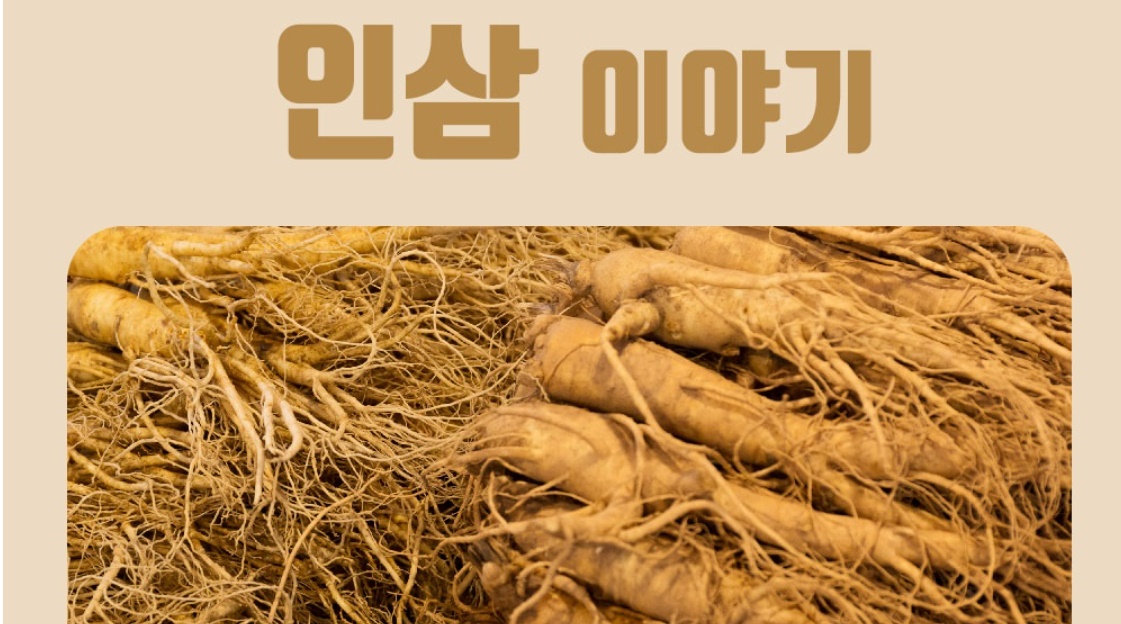 국내산 인삼 분말 200g - 상세 이미지 5