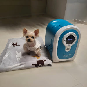 [한달무료] 강아지산소방 의료용 산소발생기 대여 렌탈 임대 산소호흡기 무... 솔직 후기 | 실제 사용자 리뷰 총정리 - 상품 이미지 1