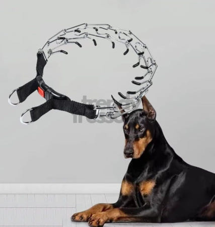 [트렌디프레소협력사]데이슬롯 훈련용 목줄 60cm 리드줄 애완용품 안전묵줄