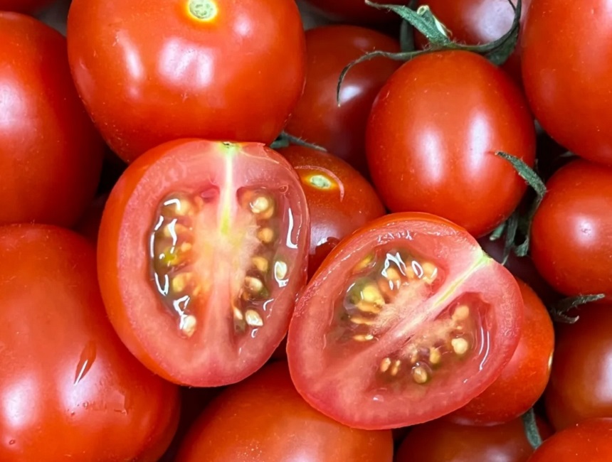 논산 산지직송 아삭한 방울토마토 로얄과 2kg - 상세 이미지 5
