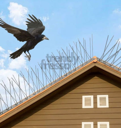 [트렌디프레소협력사]데이슬롯 버드스파이크 퇴치기 새 비둘기퇴치 12세트