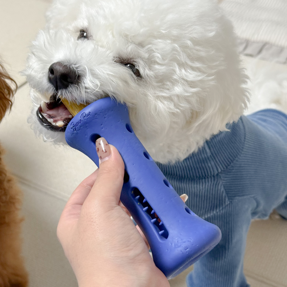 1시간 노즈워크 장난감 오래먹는 덴탈츄 부스터, 1개