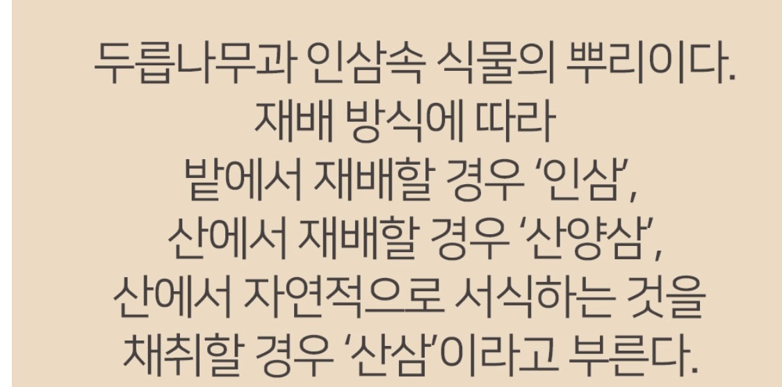 국내산 인삼 분말 200g 이미지 6