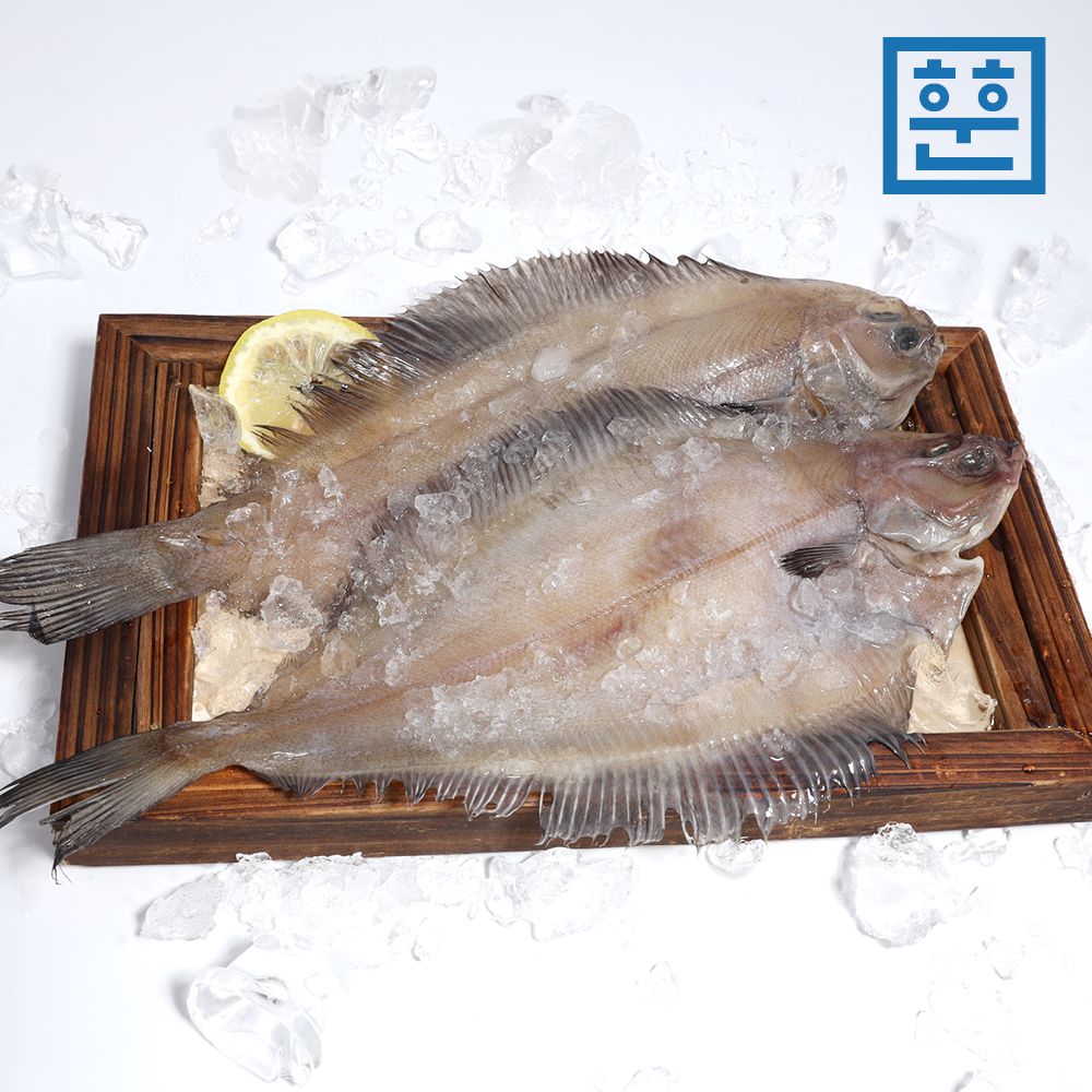 손질 반건조 기름 참가자미 구이용 생선찜 - 상세 이미지 2