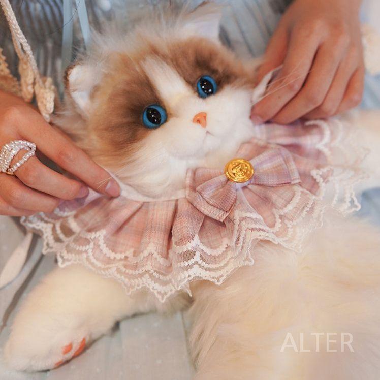고양이 가방 선물 리얼 인형 진짜같은 캐주얼 여친 중형-고양이 가방 세트 - 상세 이미지 5