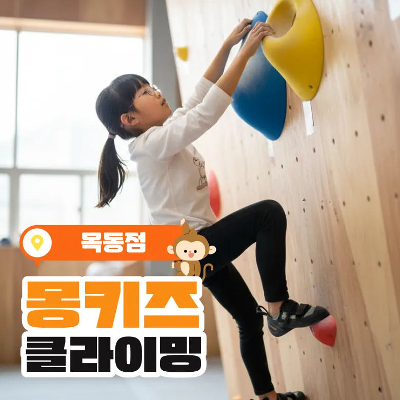 양천 목동 키즈클라이밍 6세 7세 8세 어린이 실내 운동 가격 비교 아이고고 양천 목동 키즈클라이밍 6세 7세 8세 어린이 실내 운동