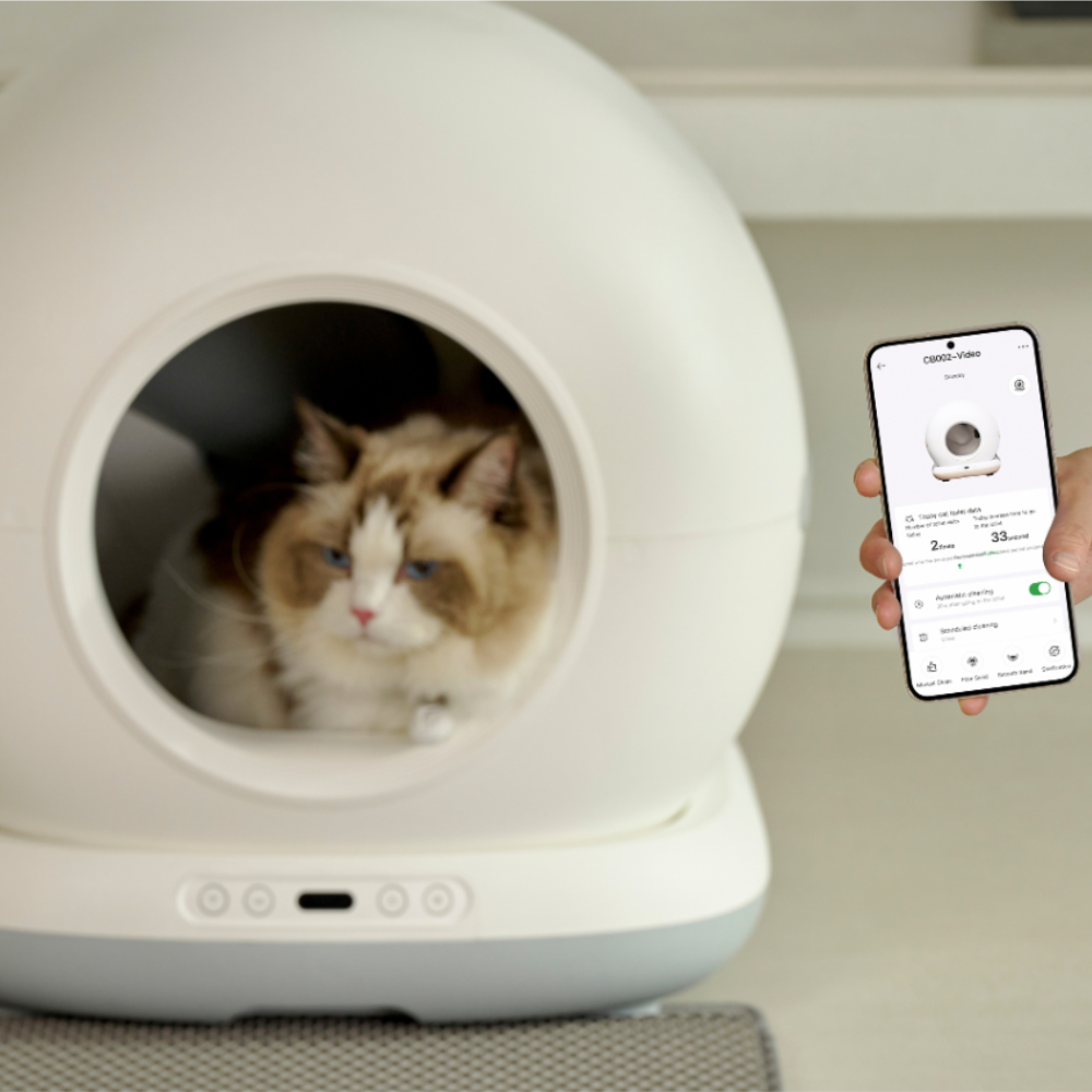 페페 고양이 IoT 스마트 자동 화장실 CT-100ca - 상세 이미지 4