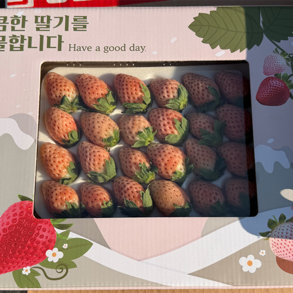국내산 만년선 하얀 딸기 400g 희귀 화이트딸기 당도 높고 향 좋은 생딸기 - 상세 이미지 2
