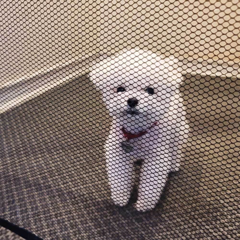 강아지 투명 그물 울타리 소형 아기안전문 강아지 - 상품 이미지