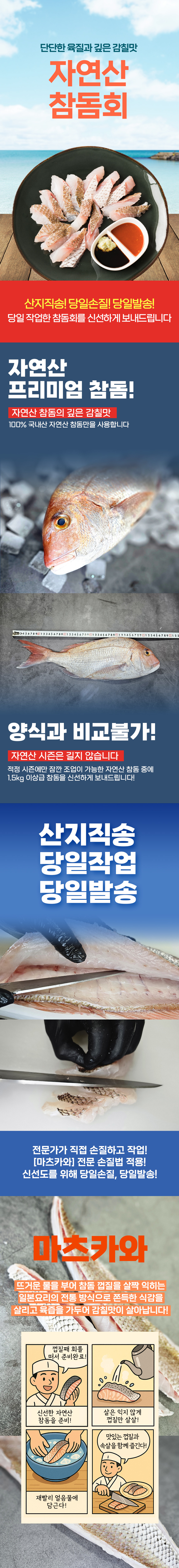 국내산-자연산-참돔회-셀러ver-1.png