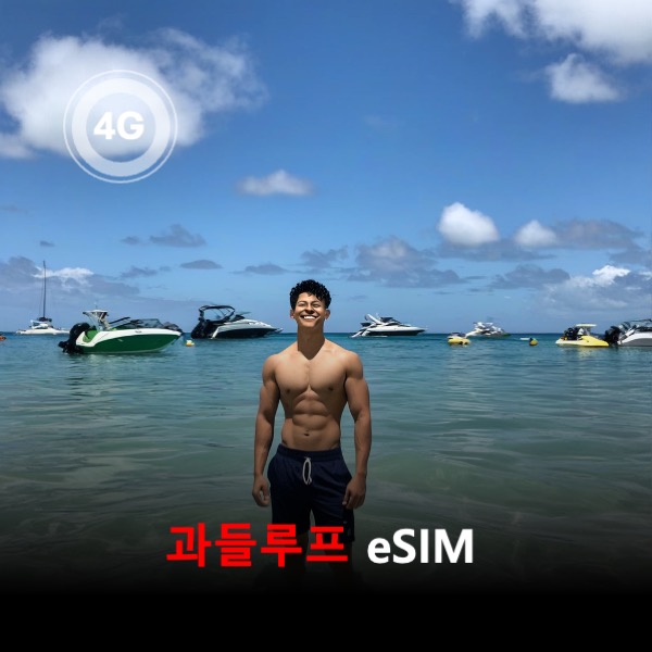 [통큰무제한] 과들루프 이심 eSIM 데이터 매일 3GB 초고속 이후 1Mbps 고속 무제한 이심통 - 상품 이미지