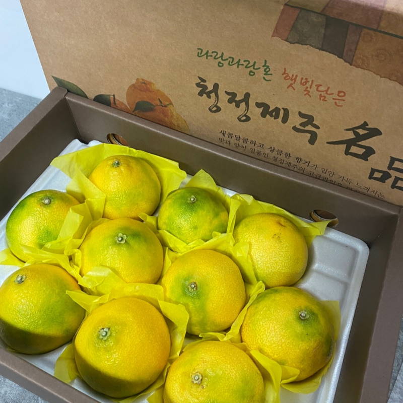 자연가득 제주 효돈 가정용 황금향 1kg-4.5kg 소 중 대 선택가능 - 상세 이미지 3