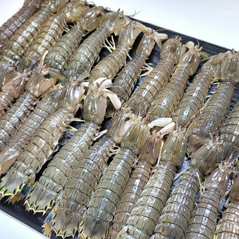 자연가득 생물 급냉 갯가재 500g 9-10미내외 - 상세 이미지 3