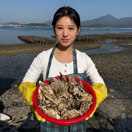 통영 제철 생굴 1kg 각굴 석화 삼배체 하프셀 벚굴 캠핑 구이용