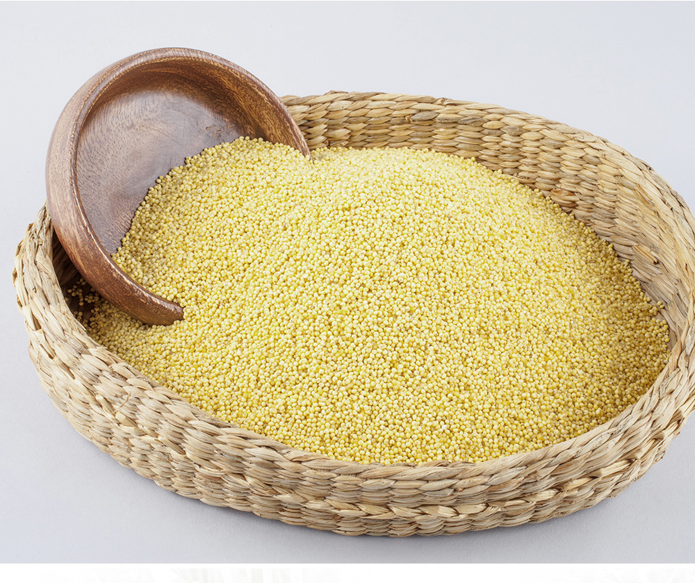 늘찬팜 25년산 국내산 찰기장 1kg - 상세 이미지 5