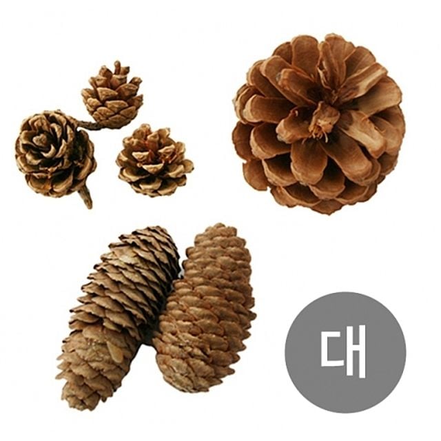 천연 솔방울 소나무 만들기 크리스마스 나무 공예 - 상품 이미지