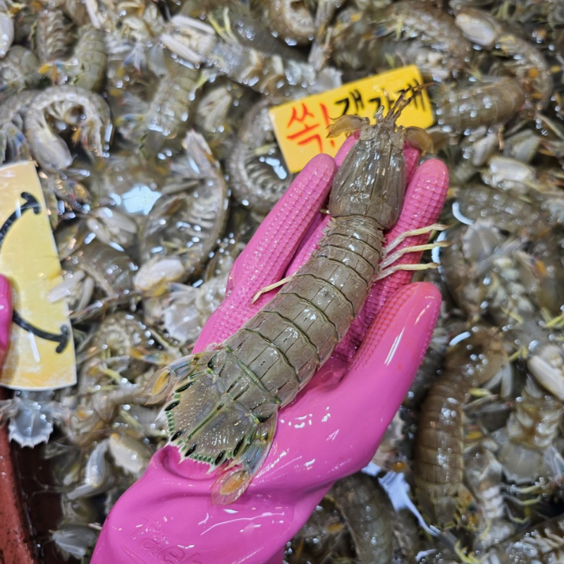 자연가득 생물 급냉 갯가재 500g 9-10미내외 - 상세 이미지 2