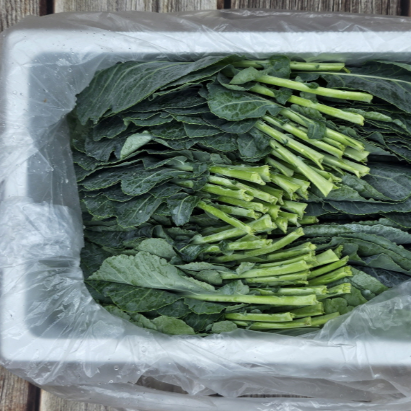 자연가득 슈퍼푸드 케일 1kg-2kg - 상세 이미지 4