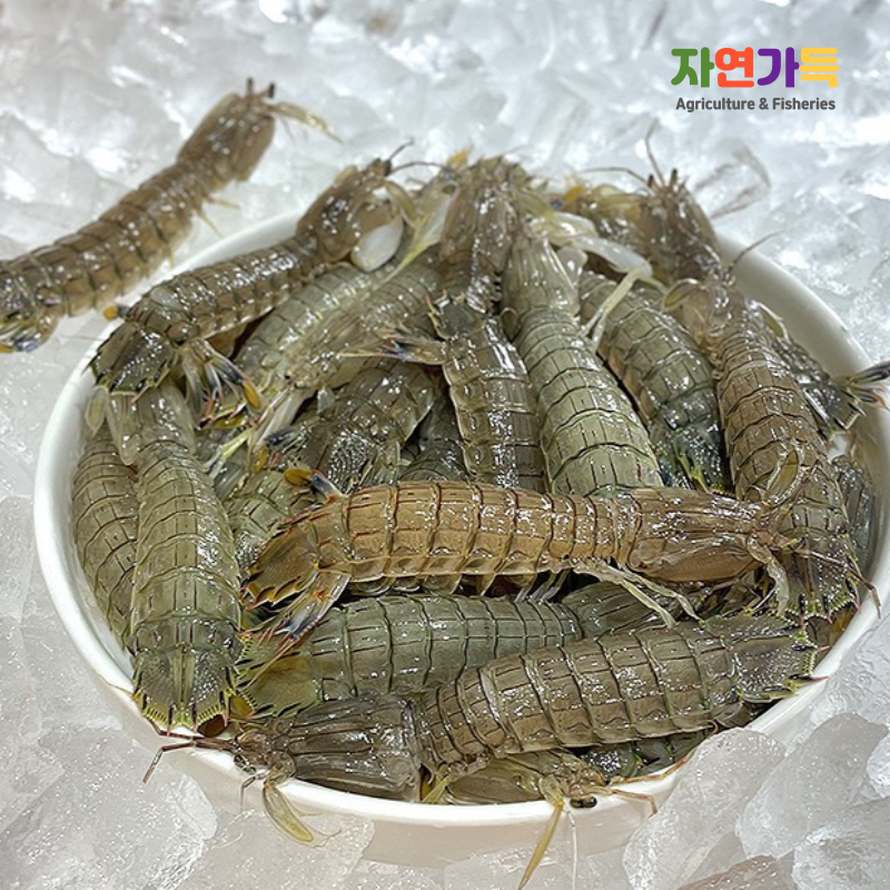 자연가득 생물 급냉 갯가재 500g 9-10미내외 - 상품 이미지