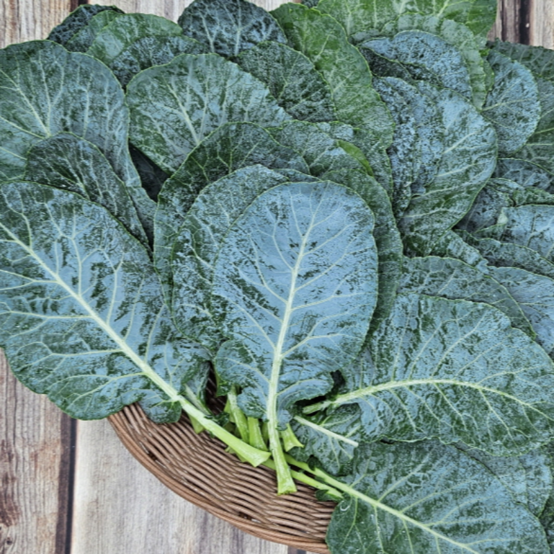 자연가득 슈퍼푸드 케일 1kg-2kg - 메인 이미지