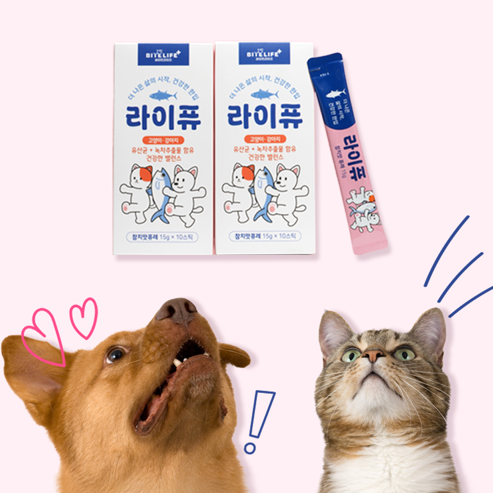잘먹는 강아지 고양이 유산균 츄르형 퓨레 반려동물 간편한 루틴 장건강, 10포, 1개 - 상세 이미지 2
