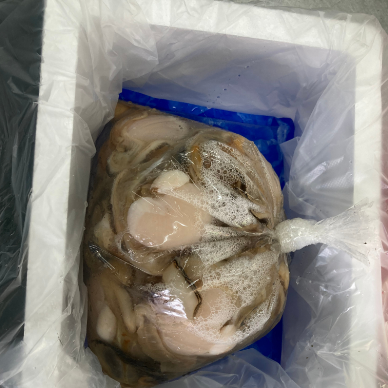 자연가득 탱글 손질 순살 키조개 1kg 5-7미내외 / 날개살, 꼬리살, 내장, 관자 포함 이미지 6