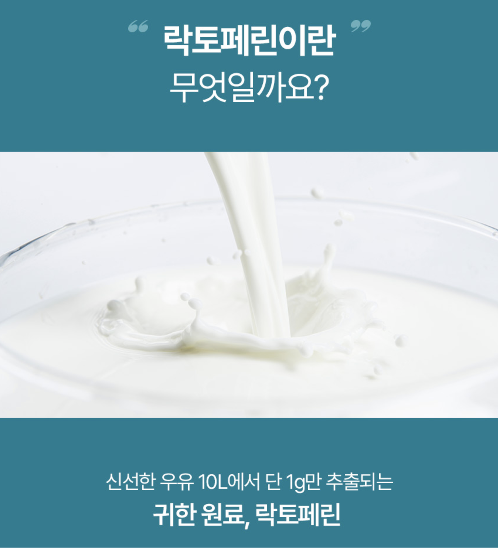 장용성 락토페린 메타바이오틱스 락토페린프리미엄정 체지컷 60정, 1개 - 상세 이미지 4