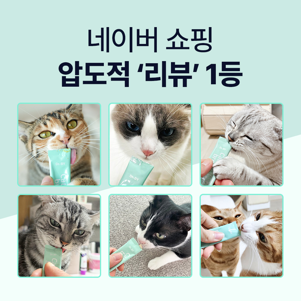 닥터바이 캣 브레스 고양이 기관지 호흡기 영양제 30포, 1개