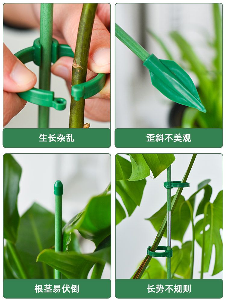 원예용 식물 넝쿨 지지대 텃밭 원형 줄기 플라스틱 고정 지지봉 60cm 3개(버클6개) 이미지 6