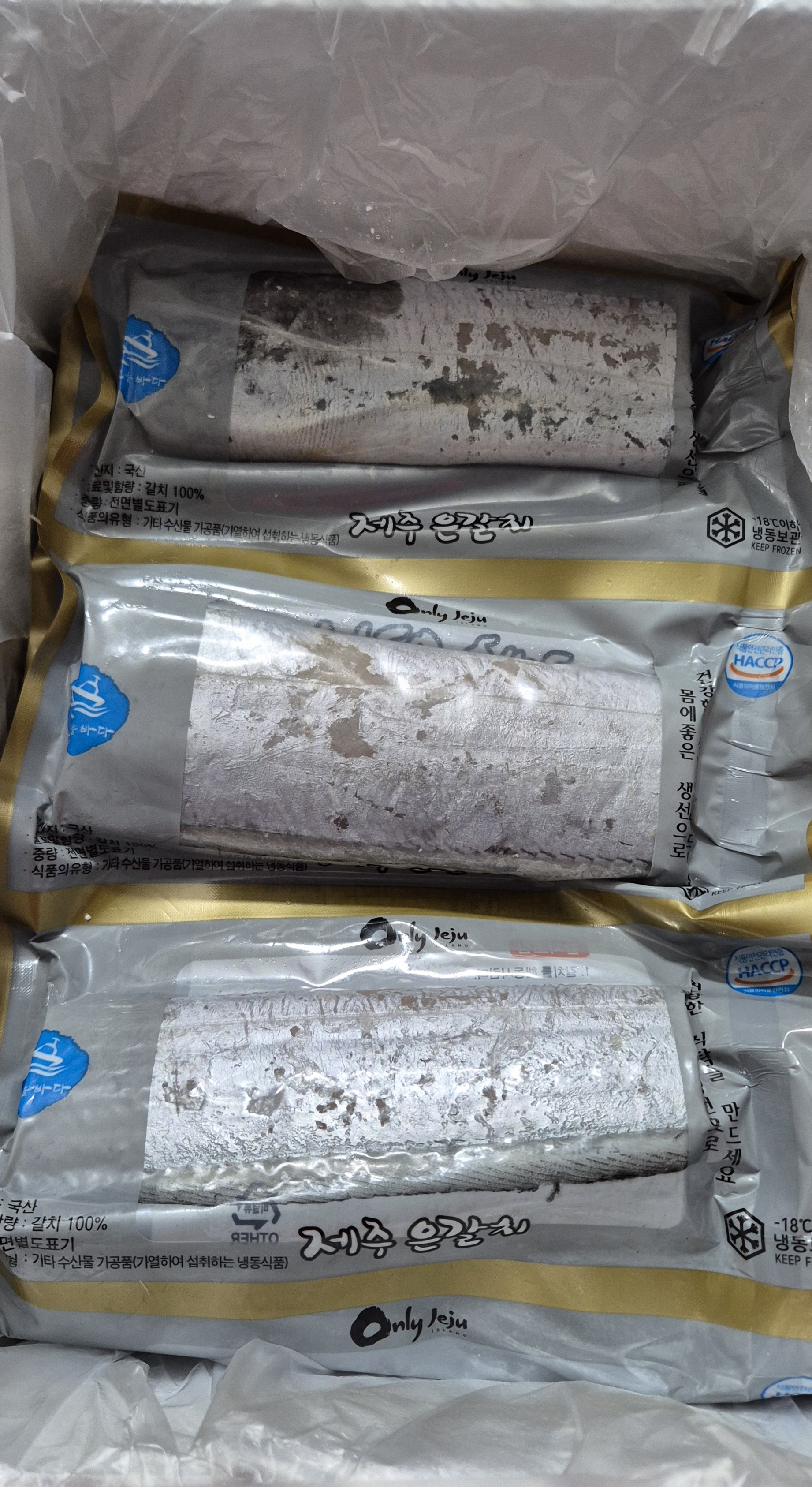 제주 은갈치 220g 300g 500g 중 대 특대 산지직송 - 상세 이미지 2