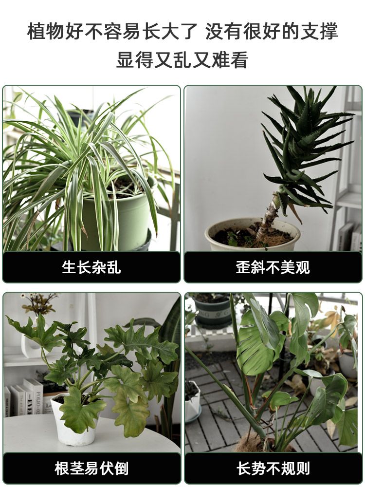 원예용 식물 넝쿨 지지대 텃밭 원형 줄기 플라스틱 고정 지지봉 60cm 3개(버클6개) 이미지 7