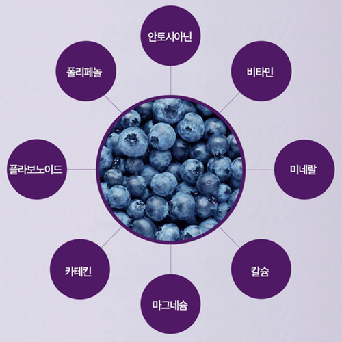한결다움 차즈기 빌베리 헤마토코쿠스 추출물 정 60정 3박스 6개월 루테올린 눈 건강 효능 - 상세 이미지 5