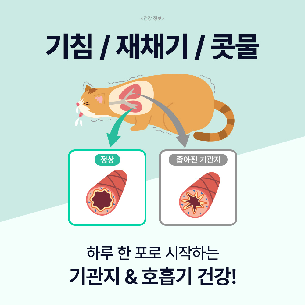 닥터바이 캣 브레스 고양이 기관지 호흡기 영양제 30포, 1개