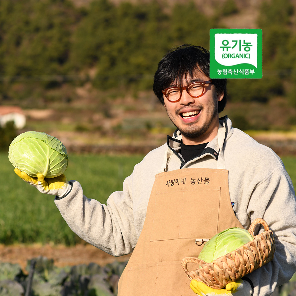 제주 유기농 양배추 원물 친환경 무농약 무비료 햇수확-3kg 6kg - 상품 이미지