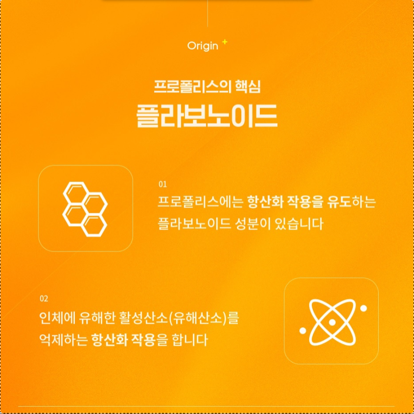 뉴질랜드 뿌리는 프로폴리스 스프레이 1통 플라보노이드 이미지 6