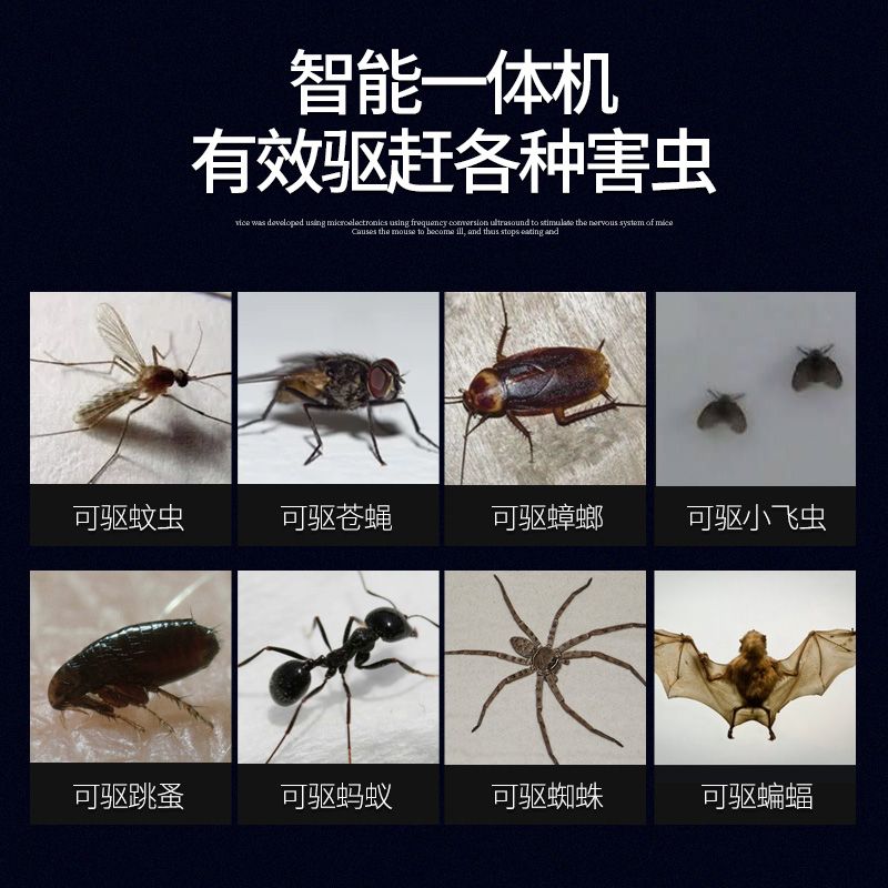 초음파 박쥐 해충 야외 유해동물 퇴치기 바퀴벌레 가정용 화이트 - 상세 이미지 4