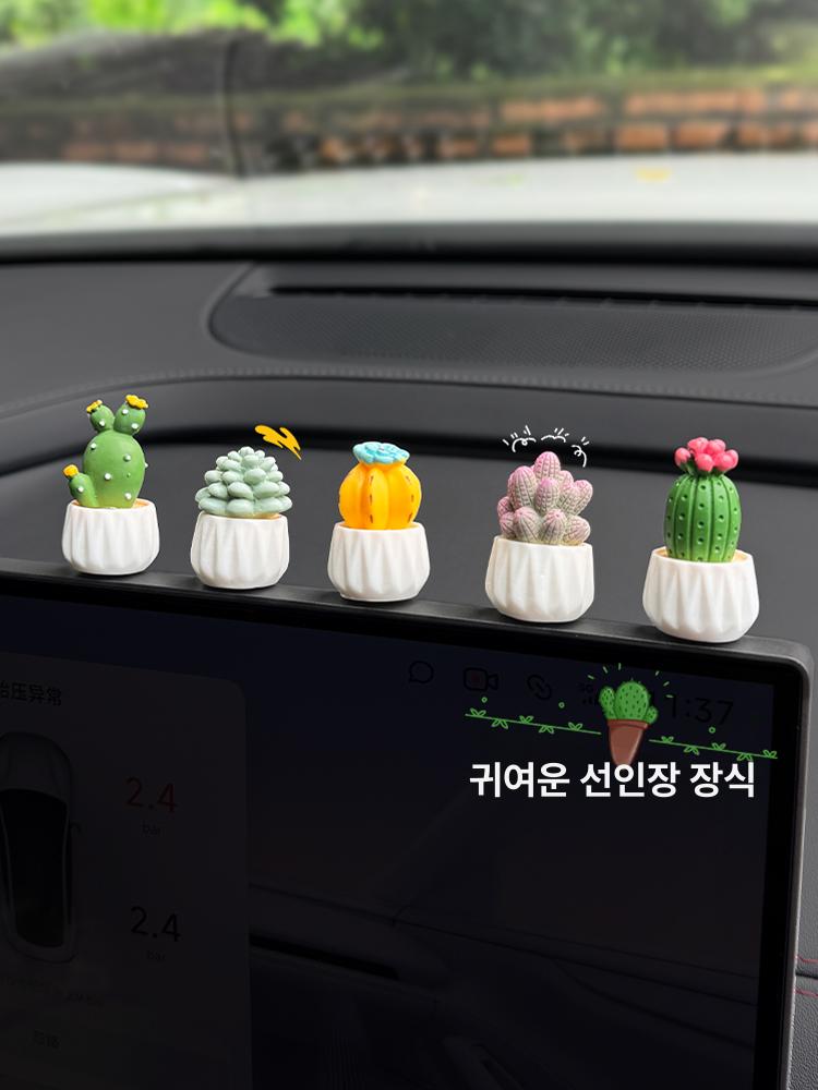 미니 동자승 다육 식물 차량용 인테리어 소품 전동차 중콘 장식 선인장 다육이 미니 장식 세트 5개입 - 상세 이미지 2