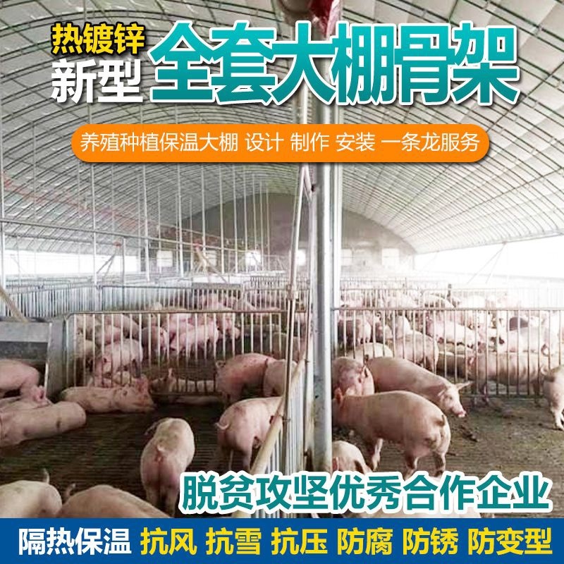비닐하우스뼈대 파이프 프레임 식물 활대 뼈대 철제 원예 조립식 - 상세 이미지 4