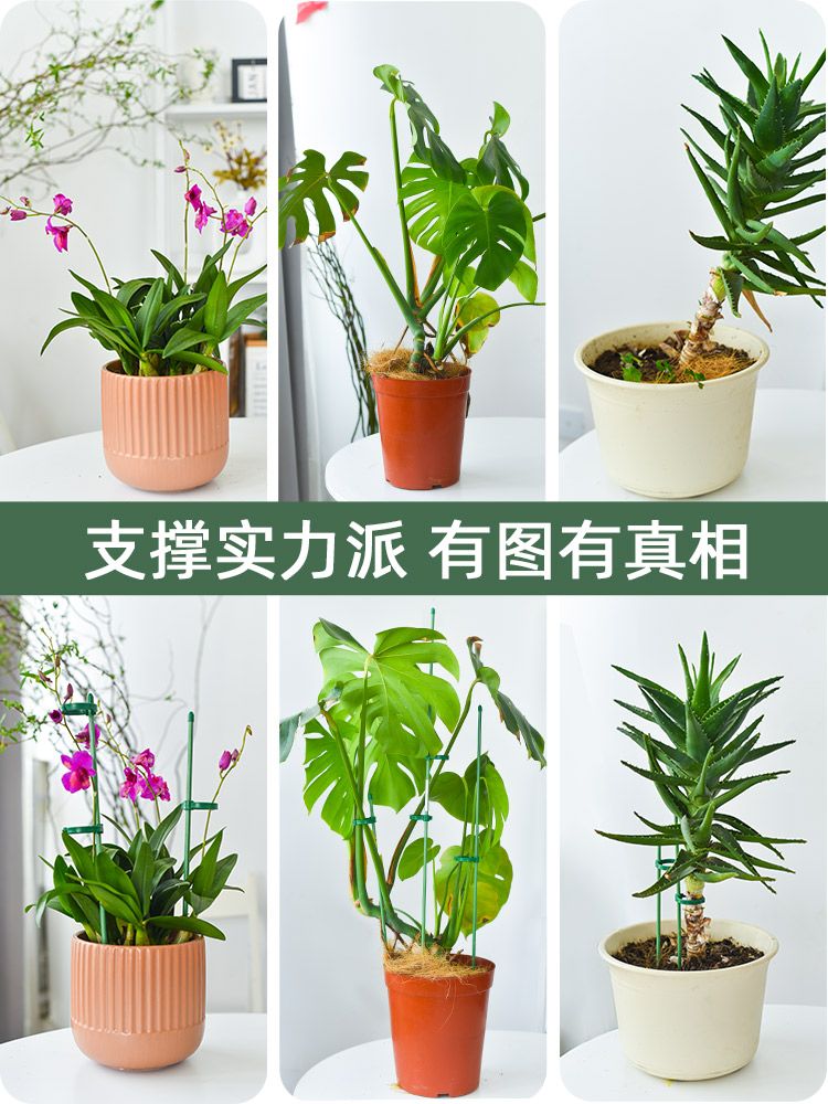 원예용 식물 넝쿨 지지대 텃밭 원형 줄기 플라스틱 고정 지지봉 60cm 3개(버클6개) - 상세 이미지 5
