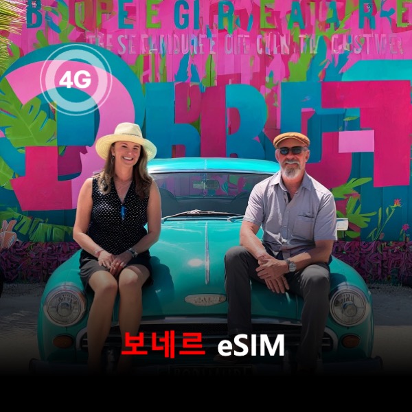 [통큰무제한] 보네르 이심 eSIM 데이터 매일 3GB 초고속 이후 1Mbps 고속 무제한 이심통 - 상품 이미지