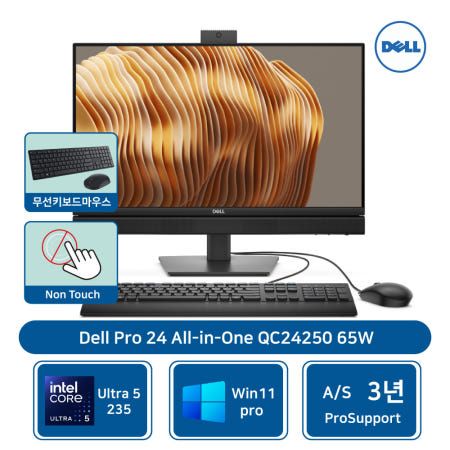 DELL  QC24250 245 Win11Pro