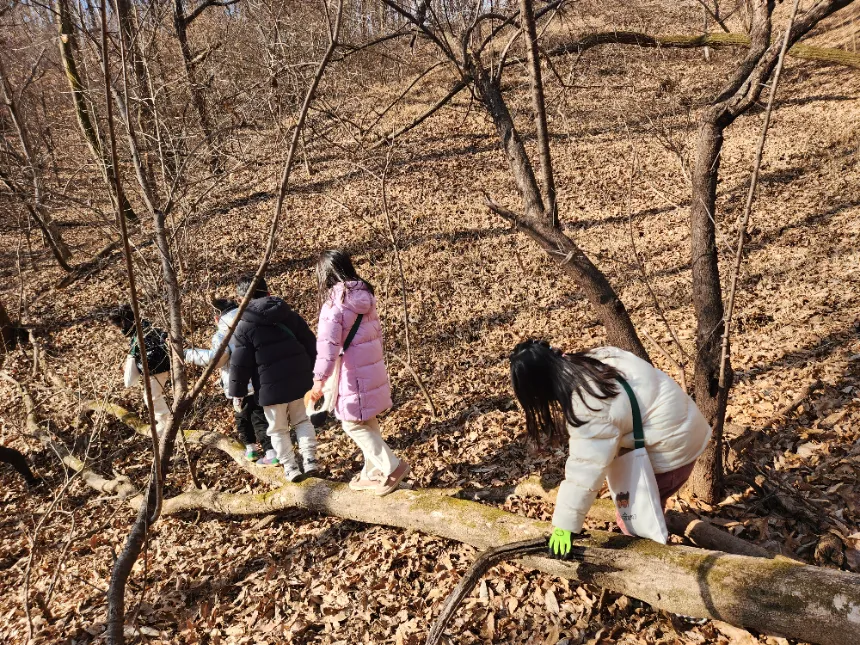 청주 발산공원 숲체험 원데이 에코힐링 by 도토리 숲체험학교 - 상세 이미지 5